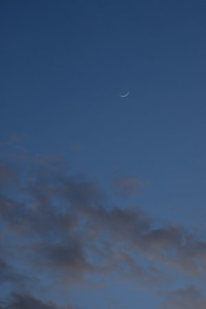 half moon floating on blue sky in twilight backgroundの写真素材