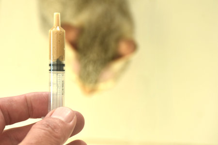 hand holding medical liquid food in syringe for feeding cat to treatmentの写真素材