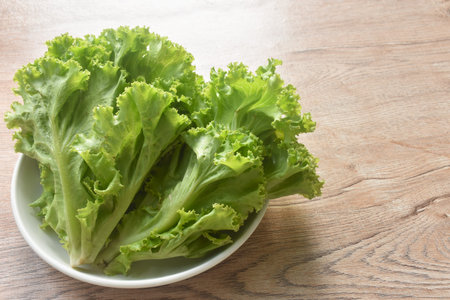 fresh gree lettuce vegetable salad with drop of water arranging on plateの写真素材