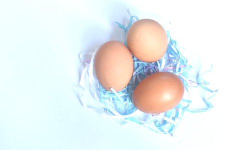brown chicken egg shell out on paper nest in white background