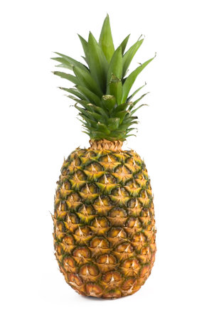 pineapple on white backgroundの写真素材