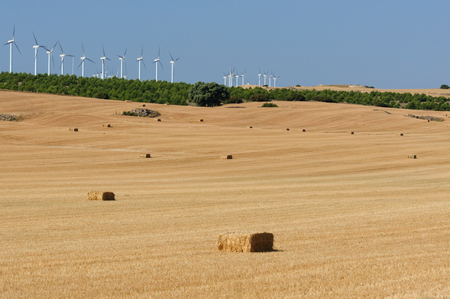 a farm field of the countryside with straw bales,and wind turbines, agriculture landscape, backgroundの写真素材