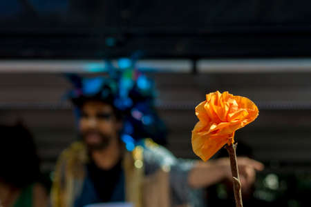 Urban flowerのeditorial素材