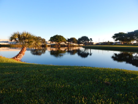 Boynton Beach, Flrida, lake, reflection, trees, green grass, blue skyの写真素材