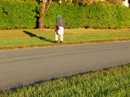 Boynton Beach, Flrida, lake, man, poor, homelessの写真素材