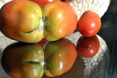 Tomatoes reflectedの写真素材