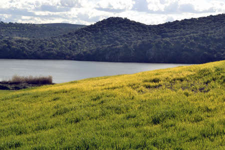 River Landscape Gevalの写真素材