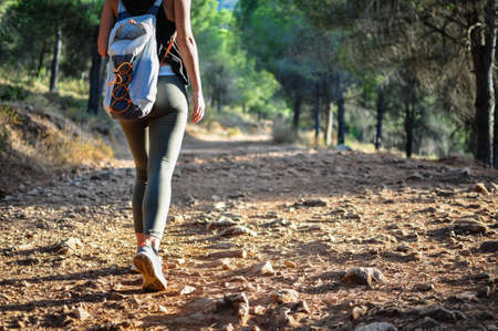 Close up of young woman with backpack walking, with her back to the camera, on a path surrounded by...