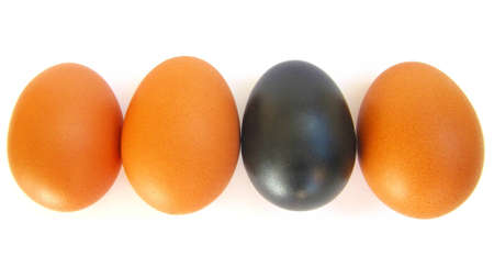 Different egg の写真素材