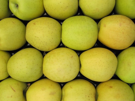Golden Delicious applesの写真素材