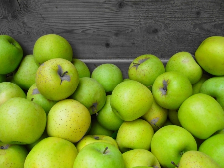 Harvest of golden apple, image "cut out".の写真素材