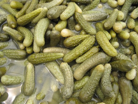 Pickles or gherkins in vinegary.の写真素材