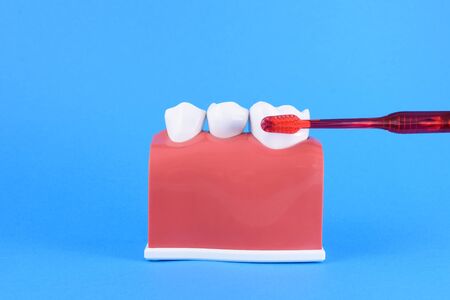 False mouth on blue background with toothbrush