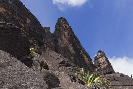 Kukenan Tepui in Venezuela, Canaima National Park.の写真素材