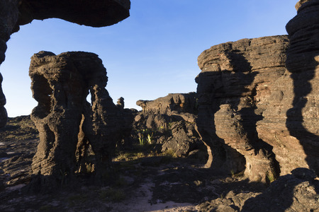 Rock formations, Mount Roraima, Canaima National Park.の写真素材