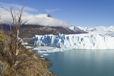 Perito Moreno Glacier near El Calafate In Argentina.の写真素材