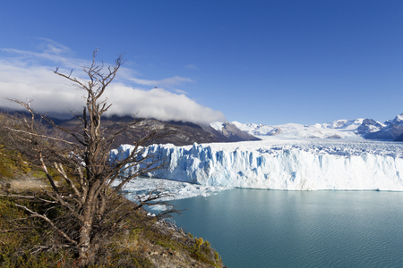 Perito Moreno Glacier near El Calafate In Argentina.の写真素材