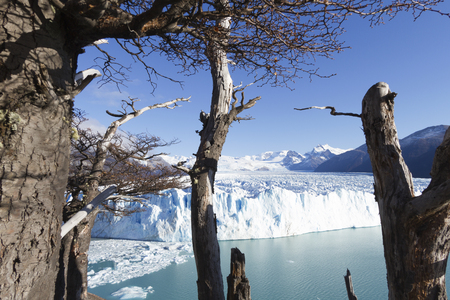 Perito Moreno Glacier near El Calafate In Argentina.の写真素材