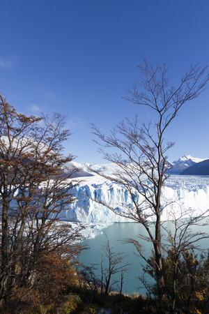 Perito Moreno Glacier near El Calafate In Argentina.の写真素材