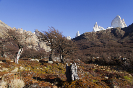 Mountain Fitz Roy in Patagonia (Argentina).の写真素材