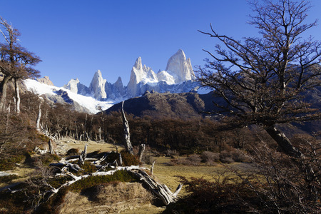 Mountain Fitz Roy in Patagonia (Argentina).の写真素材