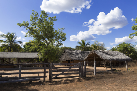 Simplicity in Chapada das Mesas.の写真素材