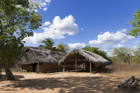 Simplicity in Chapada das Mesas.の写真素材