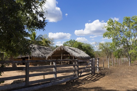 Simplicity in Chapada das Mesas.の写真素材