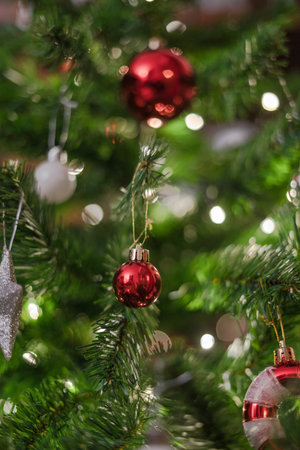 Balls hanging on the christmas tree | Balls hanging on the christmas treeの写真素材