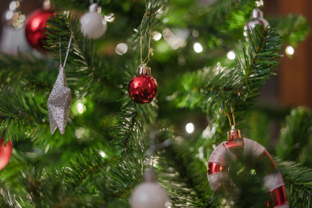 Balls hanging on the christmas tree | Balls hanging on the christmas treeの写真素材