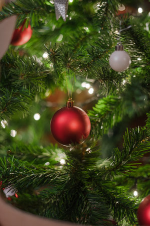 Balls hanging on the christmas tree | Balls hanging on the christmas treeの写真素材