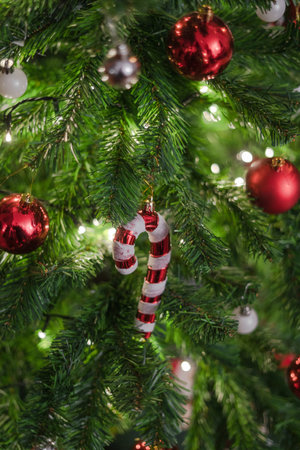 Balls hanging on the christmas tree | Balls hanging on the christmas treeの写真素材