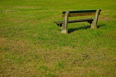 green grass and empty bench seating behindの写真素材
