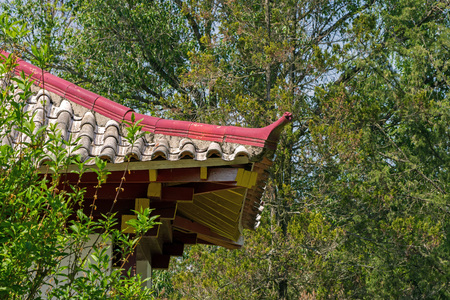 a white roof between the branches of the trees