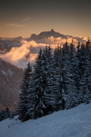 Lazy winter morningの写真素材