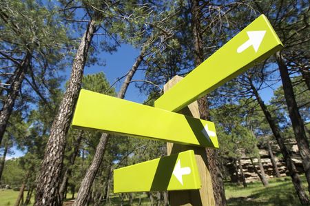 three signs green arrow signalの写真素材