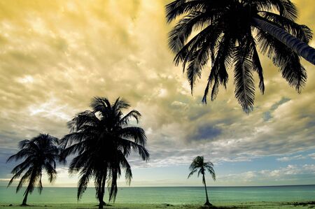 sunset at the beach tropical Maria la Gorda; Guanahacabibes Peninsula in Cubaの写真素材
