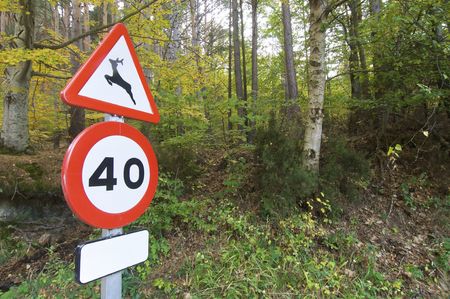 wildlife signal in a forestの写真素材