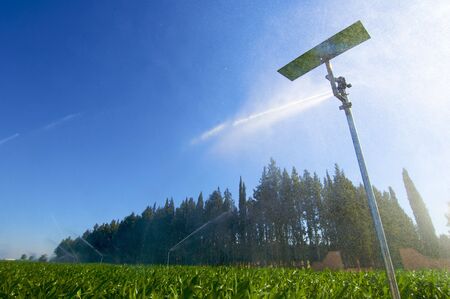 sprinkler watering in an idyllic landscapeの写真素材