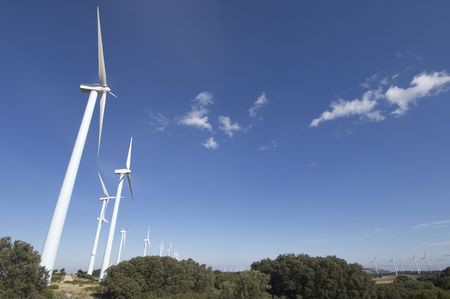 windfarm fied with blue sky