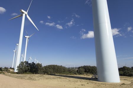 windfarm fied with blue skyの写真素材