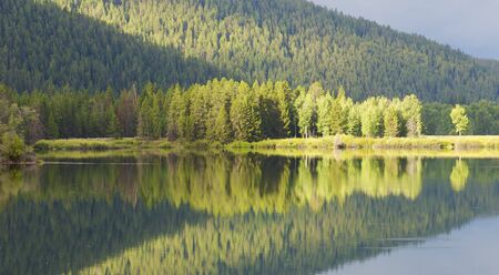 forest reflected on the calm waters of the river in Grand Teton National Park; Wyoming; Usaの写真素材