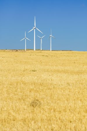 group of windmills on a yellow field