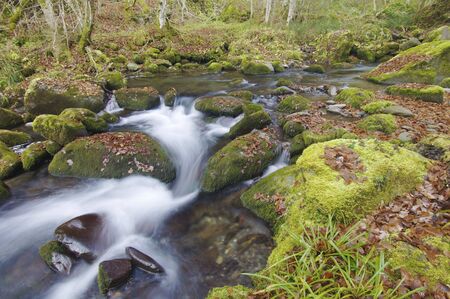 silky stream in a forest in autumn