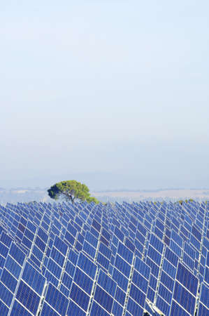 photovoltaic solar field and tree in a misty landscapeの写真素材