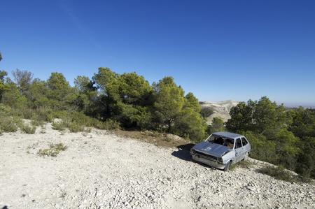 abandoned and vandalized car next to a pine forestの写真素材