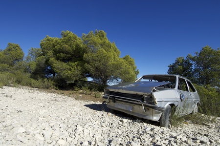abandoned and vandalized car next to a pine forest