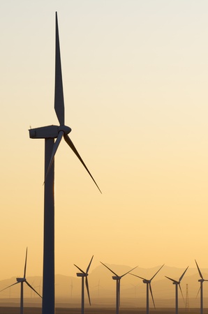 aligned windmills for renowable electric production at sunset