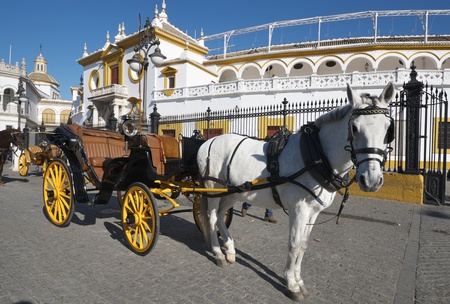 typical  horse-drawn carriage in front of the bullring in Seville, Andalucia, Spain