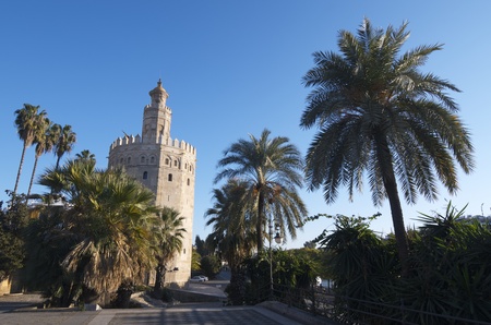 view of the famous Gold Tower, Seville, Andalucia, Spain